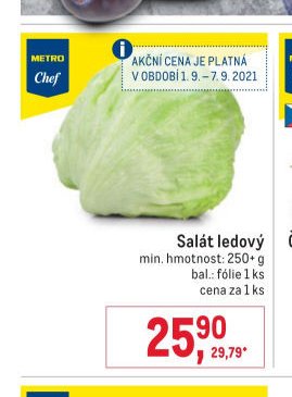 Salát ledový