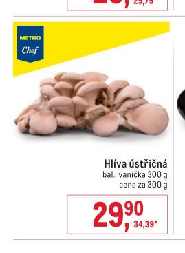 Hlíva ústřičná
