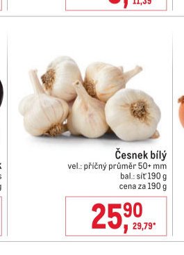 Česnek bílý