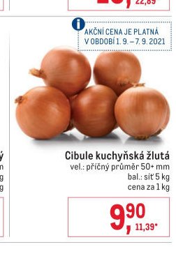 Cibule kuchyňská žlutá
