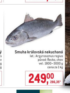 Smuha královská nekuchaná