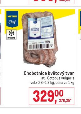Chobotnice květový tvar