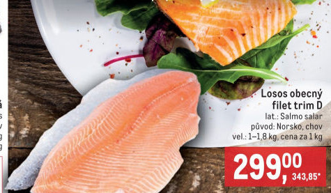 Losos obecný filety