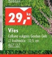 Vřes - UNI HOBBY akcniletaky.com
