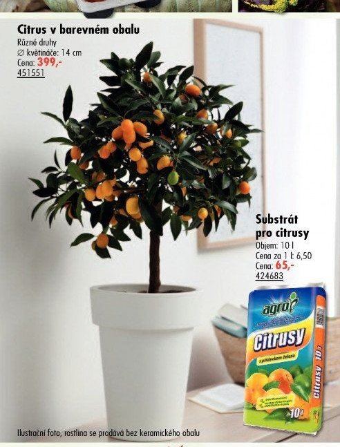 Citrus v barevném obalu - UNI HOBBY akcniletaky.com