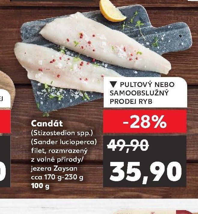 Candát