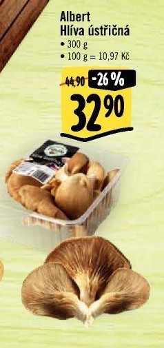 Hlíva ústřičná Albert