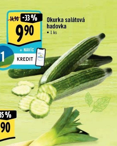 Okurka salátová hadovka