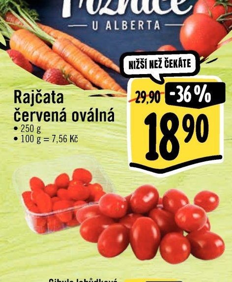 Rajčata červená oválná