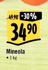 Mineola
