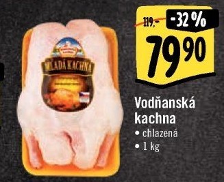 Kachna Vodňanská kachna