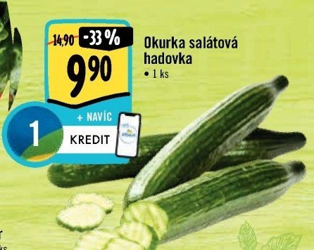 Okurka hadovka
