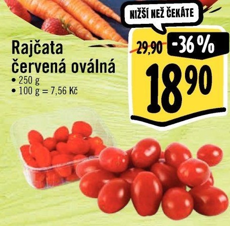 Rajčata oválná
