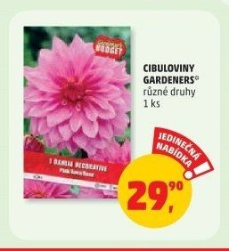Cibuloviny Gardeners