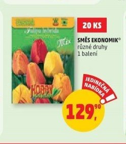 Směs ekonomik