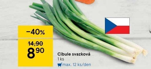 Jarní cibule svazek