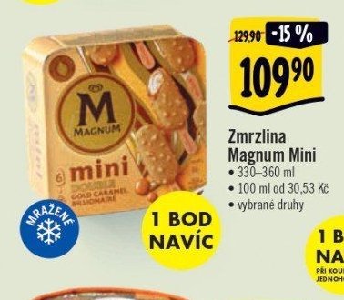 Zmrzlina Magnum Mini