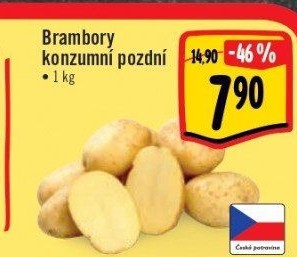 Brambory konzumní pozdní