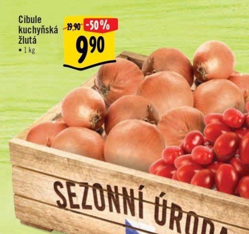 Cibule kuchyňská žlutá