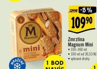 Nanuk Magnum Mini Algida