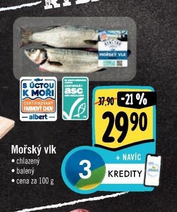 Mořský vlk
