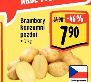 Brambory konzumní pozdní