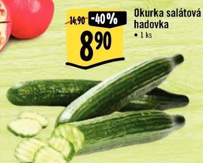 Okurka hadovka