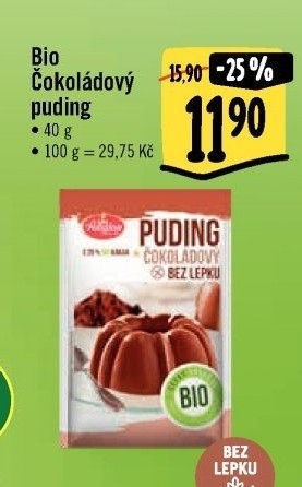 Pudink bez lepku bio Amylon