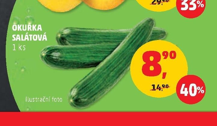 OKURKA SALÁTOVÁ