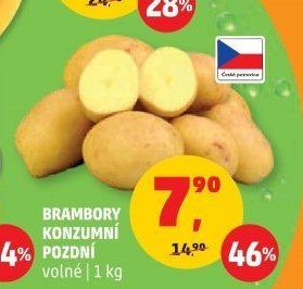 Brambory konzumní pozdní