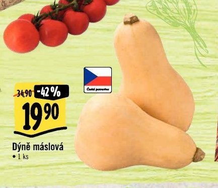 Dýně máslová