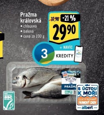 Pražma královská