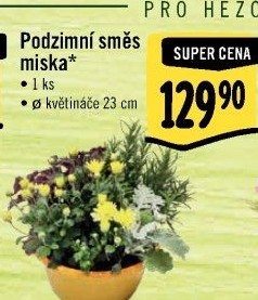 Květinové aranžmá