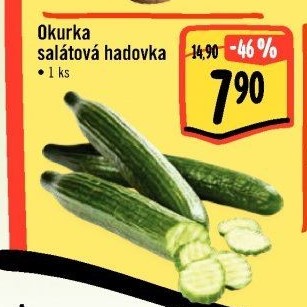 Okurka hadovka