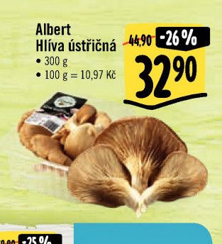 Albert Hlíva ústřičná