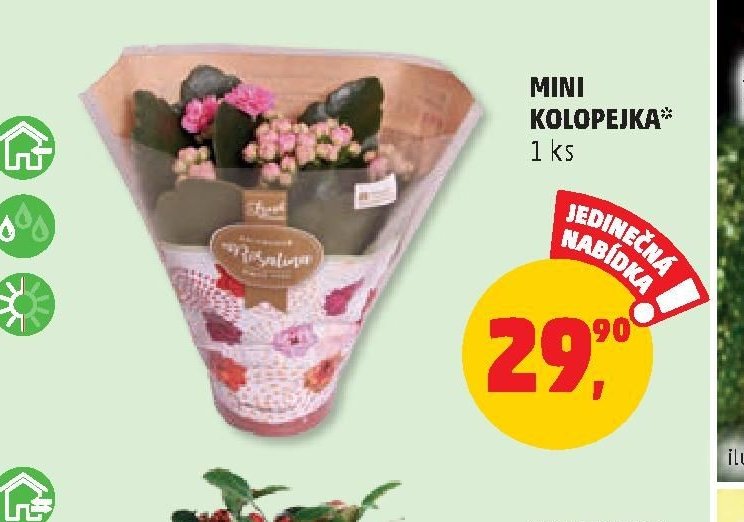 MINI KOLOPEJKA