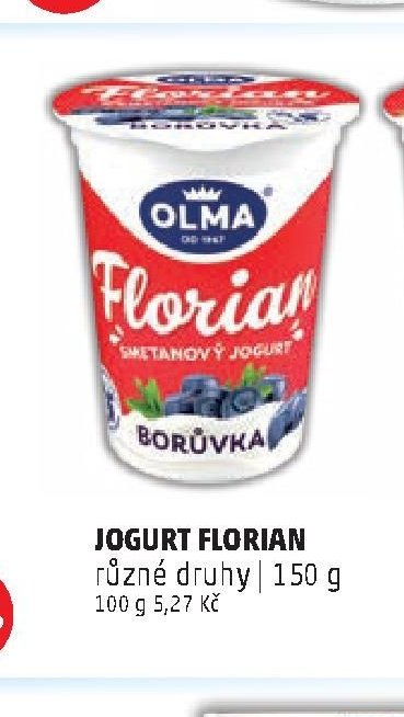 JOGURT FLORIAN BORŮVKA