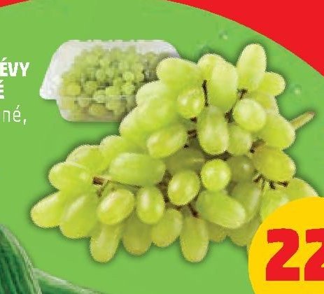 HROZNY RÉVY VINNÉ BÍLÉ