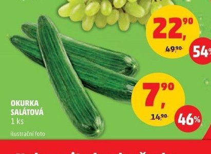 Okurka salátová