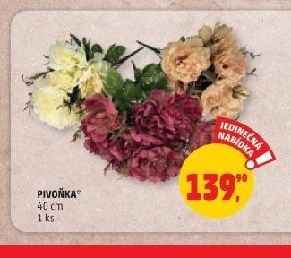 PIVOŇKA