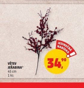 VĚTEV JEŘABINA