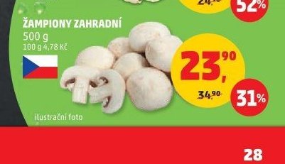 Žampiony zahradní