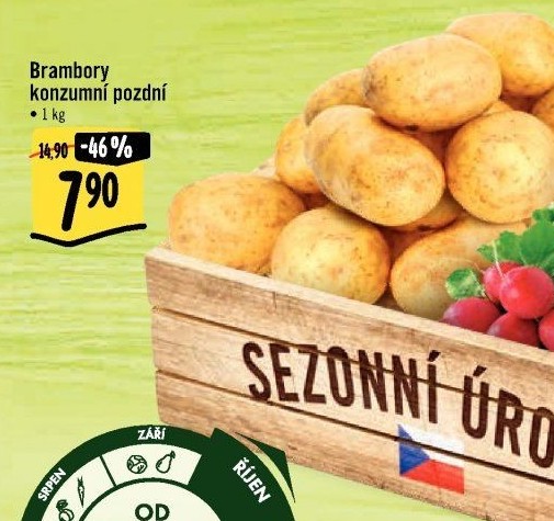 Brambory konzumní pozdní