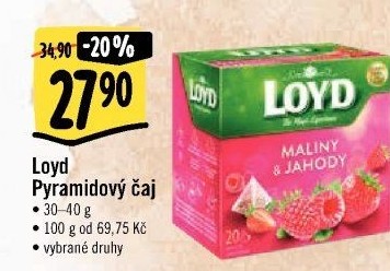 Čaj Loyd - pyramidový