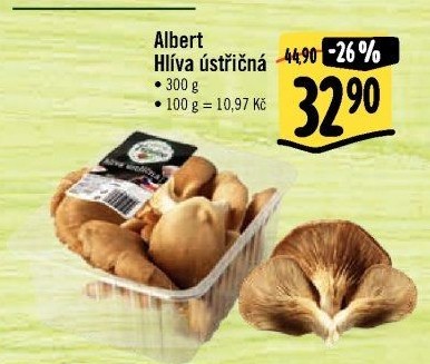 Hlíva ústřičná Albert