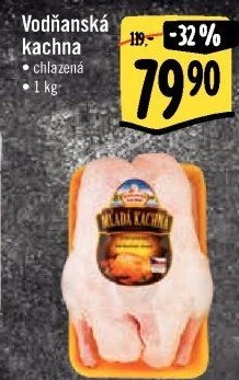 Kachna Vodňanská kachna