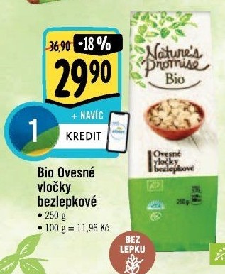 Ovesné vločky bio bez lepku Nature'