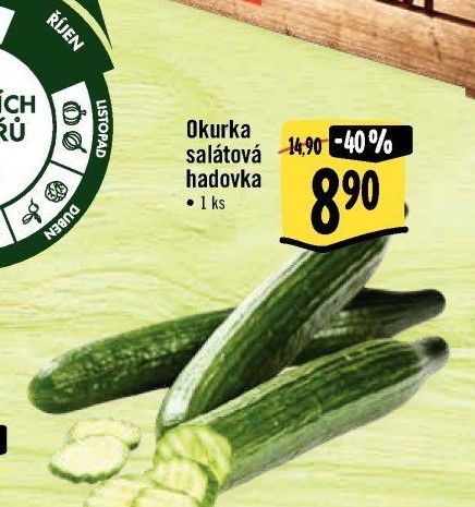 Okurka hadovka