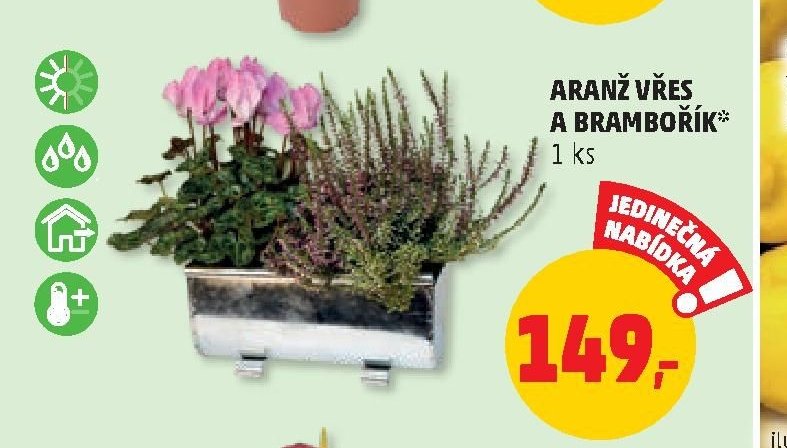 ARANŽ VŘES A BRAMBOŘÍK