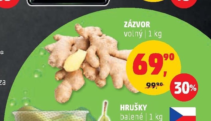 Zázvor